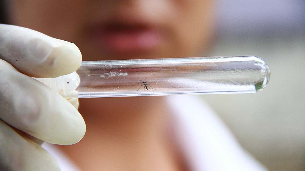 Privado: Dengue já matou 77 pessoas no Brasil este ano