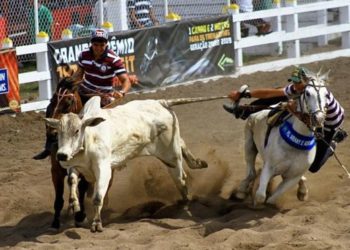 Privado: Câmara aprova projeto que regulamenta a vaquejada como expressão do patrimônio cultural brasileiro