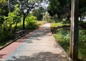 Privado: Parque Ecológico das Timbaúbas passa por requalificação em Juazeiro do Norte