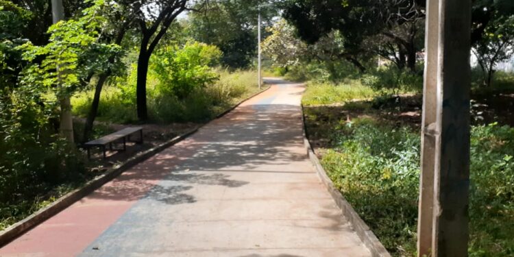 Privado: Parque Ecológico das Timbaúbas passa por requalificação em Juazeiro do Norte