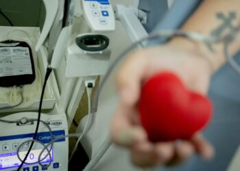 Privado: Senado proíbe discriminação a doadores de sangue homossexuais