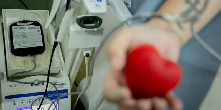 Privado: Senado proíbe discriminação a doadores de sangue homossexuais