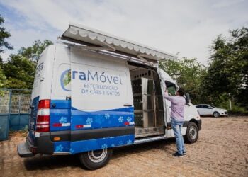 Privado: Castramóvel realiza 600 castrações em Juazeiro