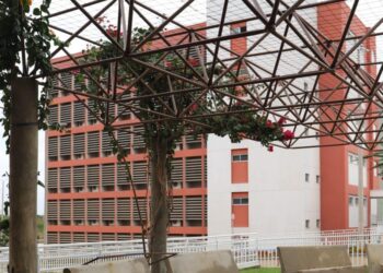 Privado: UFCA promove curso gratuito sobre cotas raciais, bancas de aferição e fraudes