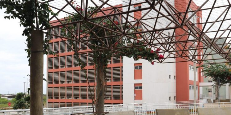 Privado: UFCA promove curso gratuito sobre cotas raciais, bancas de aferição e fraudes