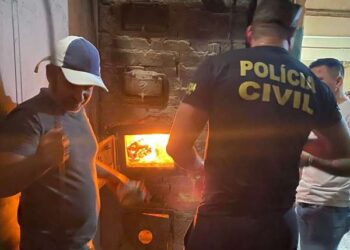 Privado: Durante Semana de Combate às Drogas, PC-CE incinera mais de 41 kg de drogas na Região Sul