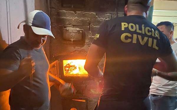 Privado: Durante Semana de Combate às Drogas, PC-CE incinera mais de 41 kg de drogas na Região Sul