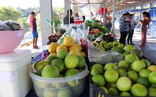 Privado: Feira da Agricultura Familiar e Economia Solidária acontece no FestCrato 258 anos