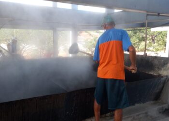 Privado: FestCrato 258 anos tem Feira da Agricultura Familiar, Engenho e Casa de Farinha neste fim de semana