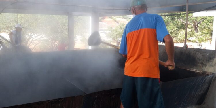 Privado: FestCrato 258 anos tem Feira da Agricultura Familiar, Engenho e Casa de Farinha neste fim de semana