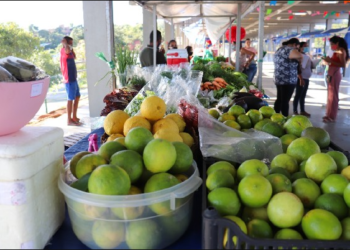 Privado: Feira da Agricultura Familiar acontece neste domingo (26) no bairro Seminário, na cidade do Crato