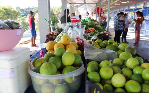 Privado: Feira da Agricultura Familiar acontece neste domingo (26) no bairro Seminário, na cidade do Crato