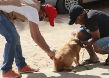 Privado: Campanha de vacinação antirrábica na Zona Rural de Barbalha retorna na próxima quinta-feira (04)