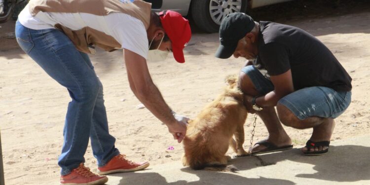 Privado: Campanha de vacinação antirrábica na Zona Rural de Barbalha retorna na próxima quinta-feira (04)