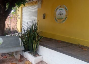 Professor cria projeto de incentivo à leitura na estrada da Nascente, em Crato