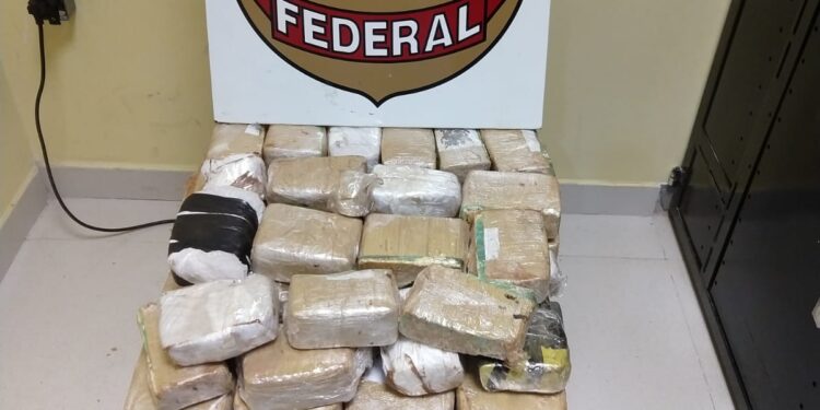 Privado: Polícia Federal apreende 61,7 quilos de cocaína e prende homem por tráfico interestadual de drogas