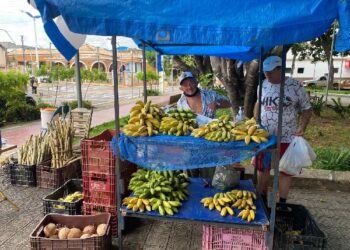 Privado: Prefeitura do Crato realiza I Circuito de Feiras da Agricultura Familiar e Economia Solidária