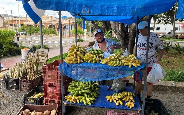 Privado: Prefeitura do Crato realiza I Circuito de Feiras da Agricultura Familiar e Economia Solidária