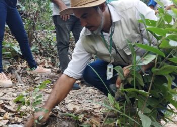 Barbalha: Dia da Árvore é comemorado com plantio de mudas e trilha ecológica no Riacho do Meio