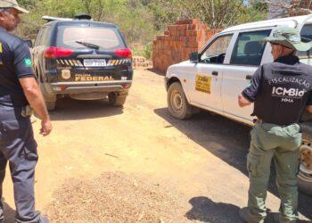 Policia Federal flagra desmatamento na Floresta Nacional do Araripe