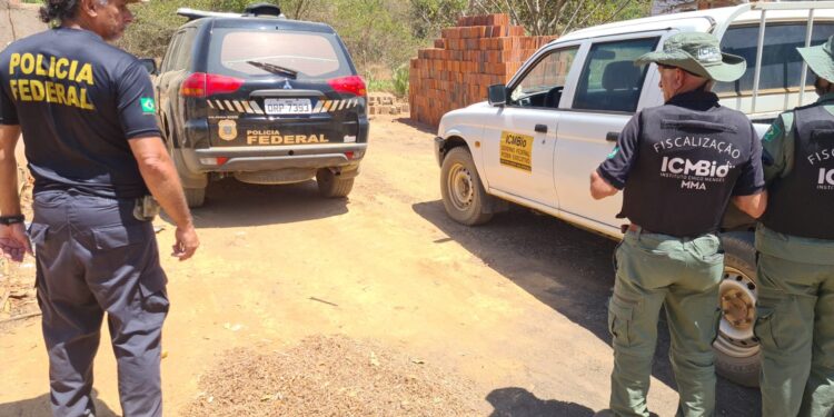 Policia Federal flagra desmatamento na Floresta Nacional do Araripe