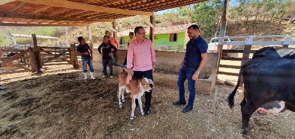 Programa de Melhoramento Genético do Crato já conta com 30 bezerros