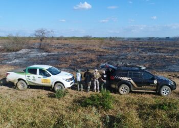 Polícia Federal flagra desmatamento na Floresta Nacional do Araripe em Crato
