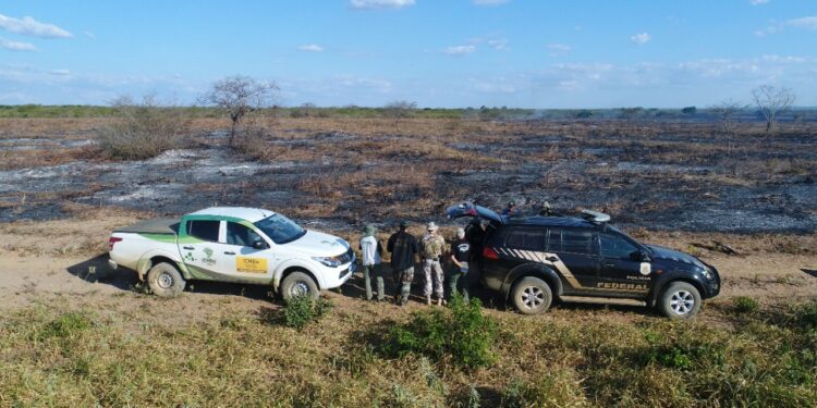Polícia Federal flagra desmatamento na Floresta Nacional do Araripe em Crato