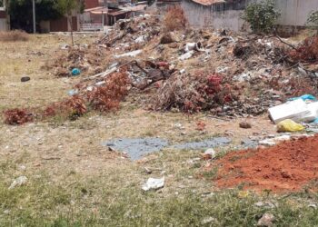 Descaso; terreno abandonado em Juazeiro do Norte causa indignação na população