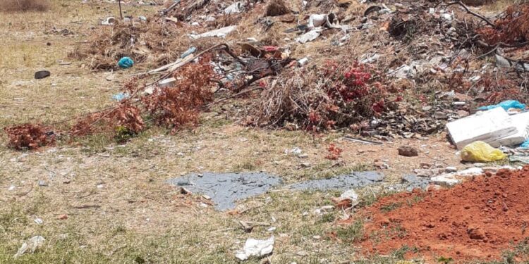 Descaso; terreno abandonado em Juazeiro do Norte causa indignação na população