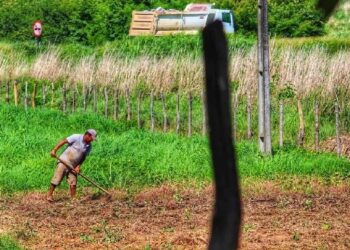 Prazo para cadastramento no Programa Garantia Safra 2022/2023 inicia segunda-feira (3)