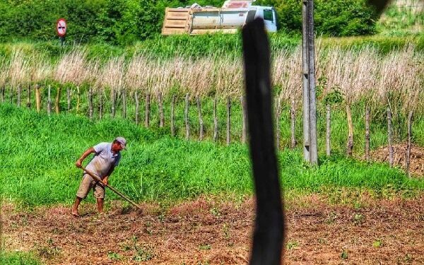 Prazo para cadastramento no Programa Garantia Safra 2022/2023 inicia segunda-feira (3)