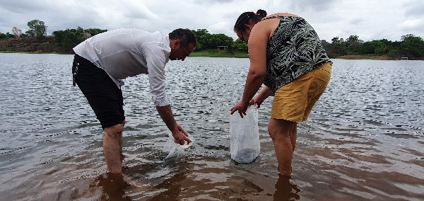 Crato distribui 20 mil alevinos em açudes do município