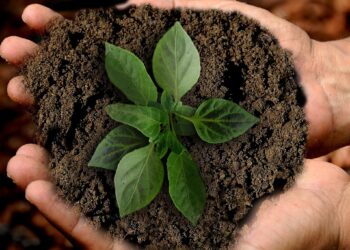 Programa convoca jovens a desenvolver soluções sustentáveis globais