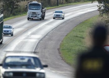 A rodovia BR-040 irá ganhar passagens para a fauna