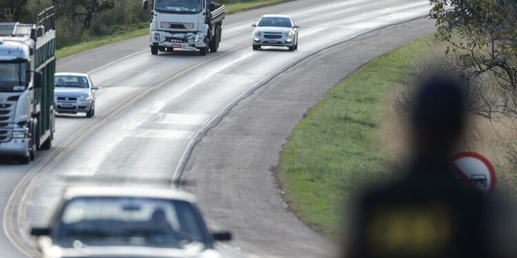 A rodovia BR-040 irá ganhar passagens para a fauna
