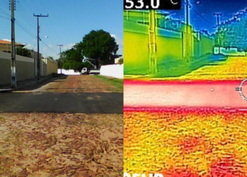 Queimadas no cariri: Professor fala sobre causas e cuidados relacionados a incêndios nos meses mais quentes do ano