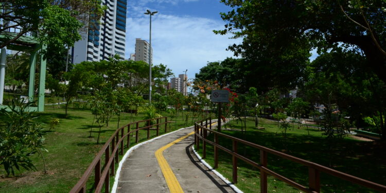 Diálogos Ambientais 2022: evento no Parque do Cocó discute sobre os avanços e desafios na gestão de resíduos sólidos no Ceará