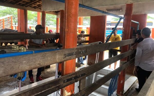 Agricultores do Crato aprendem sobre produção de leite em Milhã