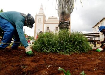 Meio Ambiente continua com ações de paisagismo nas praças do Centro Histórico de Barbalha