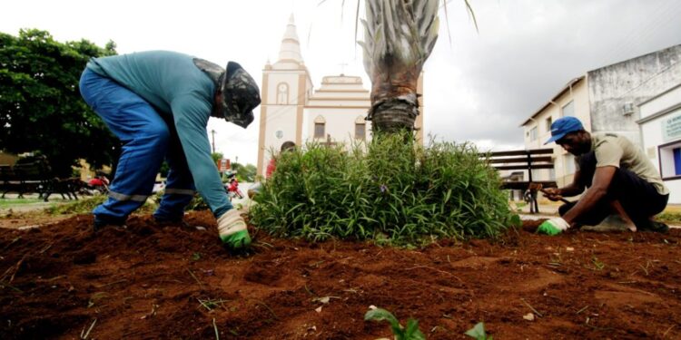 Meio Ambiente continua com ações de paisagismo nas praças do Centro Histórico de Barbalha