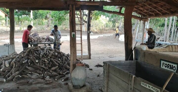 A casa de Farinha realizará a Tradicional Farinhada no Crato
