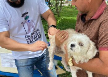 Juazeiro do Norte amplia vacinação antirrábica para novos bairros esta semana