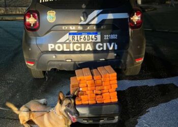 51 tabletes de maconha foram apreendidos na divisa entre o Ceará e Pernambuco