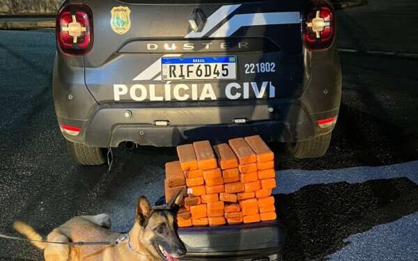 51 tabletes de maconha foram apreendidos na divisa entre o Ceará e Pernambuco