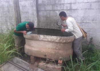 Juazeiro do Norte apresenta queda no número de casos de dengue e chikungunya