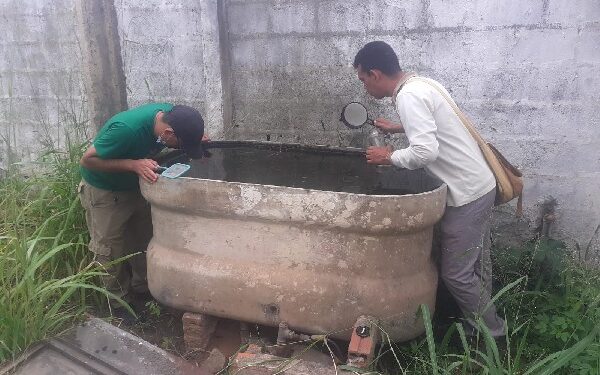 Juazeiro do Norte apresenta queda no número de casos de dengue e chikungunya