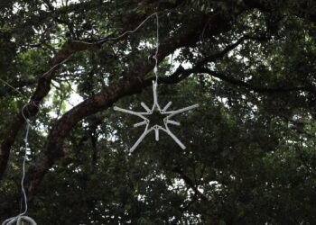 Crato começa a receber iluminação natalina em praças e prédios históricos