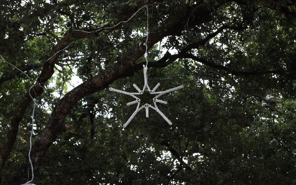 Crato começa a receber iluminação natalina em praças e prédios históricos