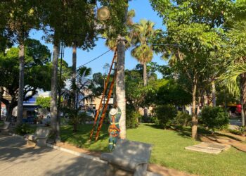 Enel anuncia intenção de venda das ações no Ceará